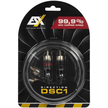 ESX DSC1