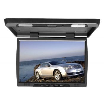 Monitor Auto Plafon 19''
